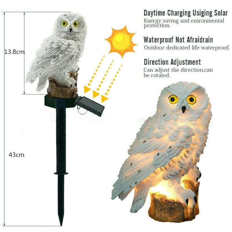 LED-uil op zonne-energie Diere - Renewable Energy House recensie en prijs