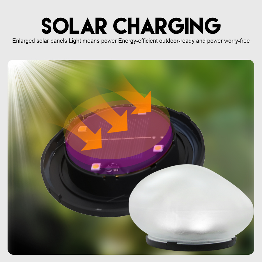 Decoratieve zonnelamp, matte g - Renewable Energy House recensie en prijs